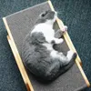 Houten kat scratcher schraper afneembare lounge bed 3 in 1 krabpaal voor s training slijpklauw speelgoed krasbord 220510