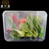 Loucaria de jantar descartável personalizada Disponível Pet Fruit Legal Alimento Bandeja de plástico Recipiente de plástico