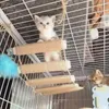 Cat Toys Köprüsü Halat Merdiveni Oyuncak Tırmanma Çerçevesi Kediler için Evcil Hayvan Kazanma Atlama Toyscat