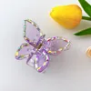Cabras de borboleta transparentes moda moda elegante pérola de cabelo colorido diamante barrettes geométricos clipe de cabelo acessórios