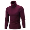 2022 Winter Heren Turtleneck Sweater Mannen Breien Sweaters Rollneck gebreide trui Warm mannen Jumper Slim Fit Casual Sweater L220730