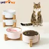 piatti per animali domestici in ceramica