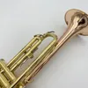 Strumento di tromba professionale di alta qualità per i principianti per suonare la presa inversa del fosforo in bronzo a goldna.