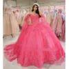 Watermelon Red Butterfly Appliques Lace Quinceanera Dress Ball Sukni