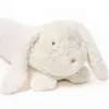 CM Lange Engel Kaninchen Plüsch Spielzeug Weiche Gefüllte Cartoon Tier Weiß Hase Puppe Duffel Kissen Sofa Mädchen Kinder Geburtstag Geschenk j220704