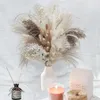 79 sztuk Naturalne Suszone Pampas Trawa, Boho Decor Fluffy White Pompat Trawa Duża Reed Bunny Tail Blat Pszenicy Dekoracyjne 220408