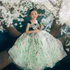 Neue grüne Prinzessin Blumen Mädchen Kleider für Hochzeit Langarm Applikationen Spitzenperlen Ballkleid Kinder Festzugskleider Erstes Kommunionkleid