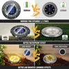 Tremblay 8/16 LED Solar Ground Light Outdoor impermeabile Solar Garden Decoration Lamp Disk Lights Pathway Yard Landscape Lighting