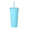 22OZ TUMBLERS Matte Mug Colored Acrylic Tumbler with Lids and Straws Double Wall Plastic Reusable Cup FY4489 sxmy24