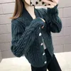 New net red knitted sweater cardigan women's coat autumn and Winter College style western V-neck top