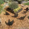 Toptan Tavuk Bahçesi Sanat Süsleri Bahçe Dekoru Diy yerleştirilmiş akrilik içi boş tavuklar çim dekorasyon