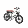 Bezior XF001 Bicycle 48V12 5AH Battery 100W (السعر الخدمي PLS اتصل بنا)