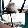 Dubbel hangmat lounger raam springplatform zuigbekers warm voor huisdierkat slaaphuis zachte thuisbed 201109