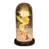 Decorazione per feste Ornamento di fiori estetici Romantico Stringa di luce in plastica Fioritura Rosa Artificiale Regalo di San Valentino Galassia