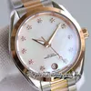 RWF Aqua Terra 150M A8800 Automatic Womens Watch 220.20.34.20.55.001 34MM Mother of Pearl Dial Rose Gold Bezel Stainless Steel Bracelet Super Version Eternity