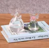 Açık melek cam asma vazo şişesi teraryum hidroponik konteyner bitki pot DIY ev bahçesi dekor doğum günü hediyesi 2 Boyutlar SN4540