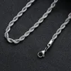 Ketens roestvrij staal gedraaide touwketting kettingen voor mannen vrouwen hiphop titanium choker mode feestjuwelenchains