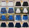 Команда баскетбола короткая сетчатая версия Summer Sport Shorts Hip Pop Pan