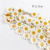 2YARD / LOT DAISY LACE TRIME Högkvalitativ blomma spetsväv Broderi Handgjorda Patchwork Ribbon DIY Apparel Sy Tillbehör