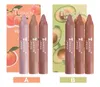 Teayason 3 stks/set lipstick pen kleine doos matte langdurige lip voering waterdichte geen fading populair draagbaar make -up cadeau tslm1