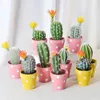 Decorative Flowers & Wreaths Simulation Potted Plants Fake Cactus Tropical Desert Thorn Ball For Home Decor Indoor Succulent Plant