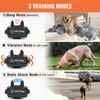 Petrainer 620A-1 Collaggio di addestramento per cani elettrici impermeabili e ricaricabili da 300m Collari di allenamento remoto 220524