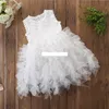 Baby Girls TUTU кружева платье детей без рукавов жилет принцесса платья летом бутик детская одежда