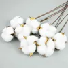 10pcs Naturally Dried Cotton Cheap Artificial Plants Floral Branch Vases Christmas Wedding Party Decor Fake Flowers Home Decor T220726