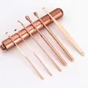 Multifunction Stainless Steel Rose Gold Spiral Ear Pick Spoon Wax Removal Set Cleaner Portable Ears Picker Care Beauty Tools SN4535