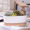 Ställ in minimalistisk vit keramisk saftig växt porslin planter hemmakontor dekoration julklapp1 potten 1 magasin y200709