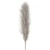 Dekorative Blumenkränze, 80 cm, Pampas, großer natürlicher getrockneter Blumenstrauß für die Dekoration, flauschiges Wohnzimmer, graue Farbe, Gras, Hochzeit