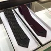 클래식 편지 Jacquard Neck Tie 100% 실크 맨 넥웨어 Cravattino 웨딩 사업 남성 디자이너 Krawatte와 상자