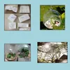مزهريات المنزل ديكور حديقة جديدة وصول borosilicate الزجاج معلقة مزهرية على الطاولة ديكو قطر شفاف 6 سم تسليم تسليم 2021 KLF2N