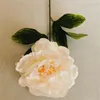 Bir Sahte Çiçek Tek Kök Şakayık 23 "Uzunluk Simülasyon Hibiscus Peonia Düğün Ev Dekoratif Yapay Çiçekler için