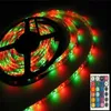 Vattentät IP65 LED -band 5M SMD 2835 RGB Strip Light 12V 300LEDS TAPS RUBAN 24W med 24 nycklar Remote Controller 2A Strömförsörjning 9602145