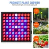 LED Grow Light 2000 W 3000W Pełny spektrum szklarni Phytolamp LED Plant Lighting144T