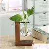 Vazen Home Decor Garden Terrarium Hydroponische planten Vintage Bloempot Transparante vaas houten frame glazen tafel planten bonsai 510 r2 dr