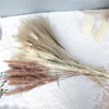 Decorative Flowers & Wreaths 30 Pcs Natural Pampas Grass Decor Fluffy Artificial Plants Real Dried Wedding Bouquet Small Reed Bunch For Home