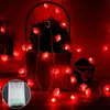 Cordes LED Lanterne Rouge Guirlande Lumineuse IP44 Étanche Noeud Chinois Fée Lampe Pour Toit Mur Fenêtre Année StringLED StringsLED