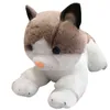 Cm prawdziwe życie pluszowa kota zabawka kawaii pokój dekoracje softowe nadziewane lalki symulacja zwierząt kotek dla dzieci prezent J220704