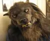 Werewolf Cosplay Headwear Costume Mask Simulation Wolf Mask för vuxna Schildren Halloween Party Cosply Wolf Full Face Cover X08032166154