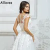 Cap Sleeves Knee Length Short Wedding Dress Sheer Neck Buttons Back Plus Size Vestidos De Novia Lace Appliqued A Line Tulle Beach Garden Bride Reception Gowns CL0520