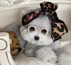 Teddy bulldog schnauzer zonnebril buitenste zonnebril hondenkleding voor huisdier mode parel huisdieren zonnebril honden accessoires