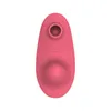 Sex Toy Massager fjärrkontroll Vibrator Clitoris Stimulator vibrerande dildo för kvinnors trosor Sucker Vaginal Massager Vuxen Toys13029068