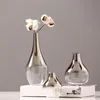 OROSELIF Brand Nordic Flower Glass Vase Creative Silver Gradient Séché INSERT BURANT Terrarium Bijoux Decoration Plant Plante C8951955