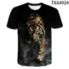 Tiger 3d T Shirt Men Komaniather Summer Fashion Fashion Print Animal Tshirt Cool Tops Tees Boy Girl Kids Odzież 220607