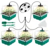 Grow Lights Pack Vassoio per piantine con kit di vassoi per semi di piante leggere Fori per coltivazione in serra 12 celle per vassoioGrow