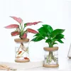 Vase hydroponique Transparent Imitation verre sans sol plantation en Pot plante verte résine Pot de fleur maison Vase décor