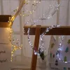 Dizeler LEDS Stres Işıkları 5 Strands 2m EU Fiş Fairy Bunch Noel Çelenk Partisi Düğün Dekorasyonu J50LED LED