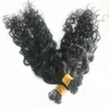 Curly Pre-bonde I Tip in Human Hair Extensions For Women Microlinks Malaysian Remy Hairs Natural Color Can Bed Dyed